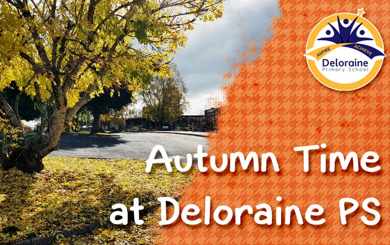 Autumn Time at Deloraine Primary School