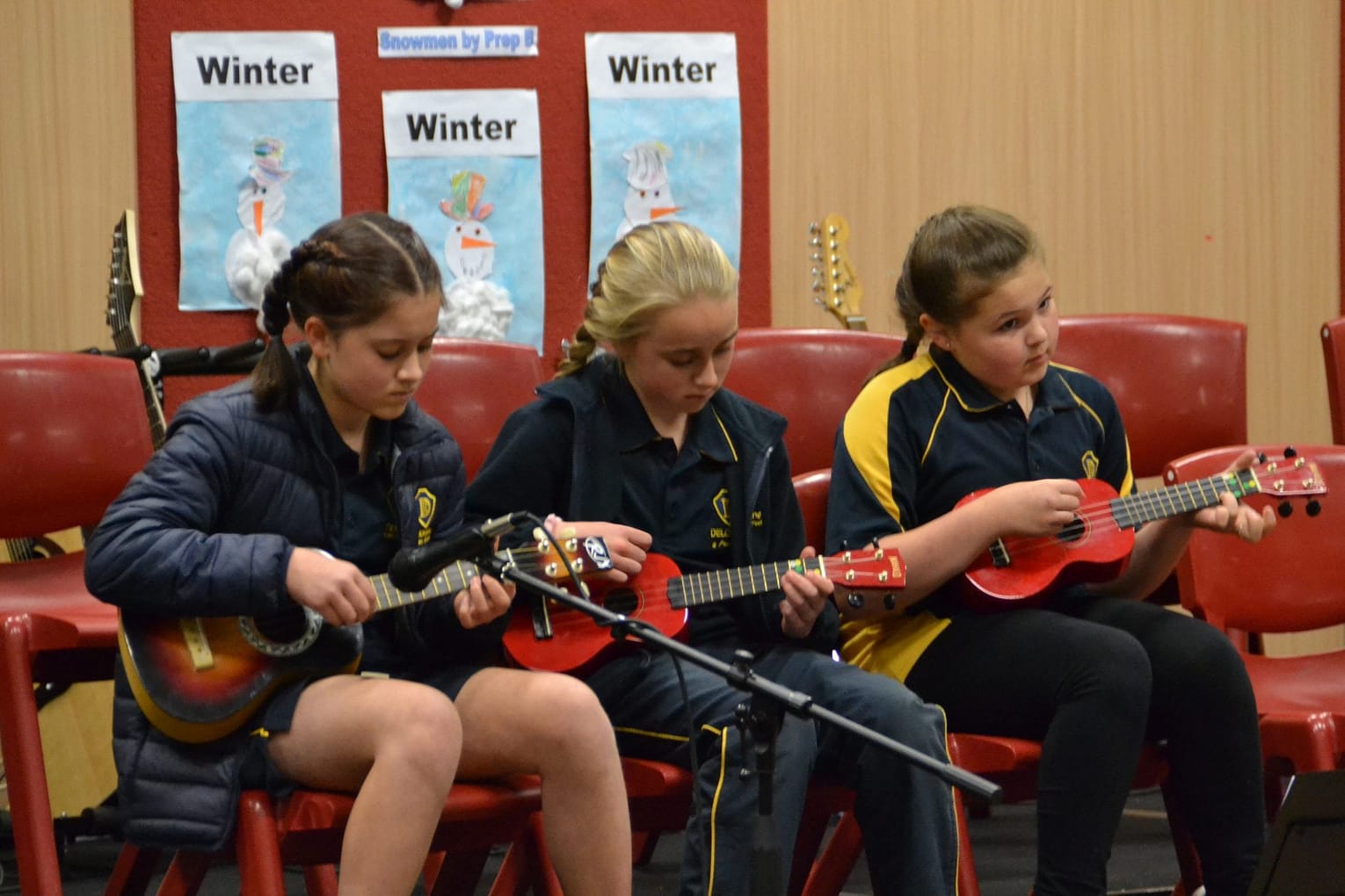 Music at Deloraine Primary School