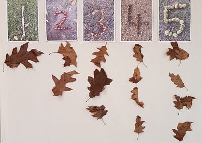 classroom display with numbers and leaves