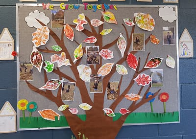 display in a classroom of a tree and photos