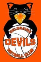 Deloraine Devils Netball Club