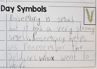 Photo of student writing about rosemary
